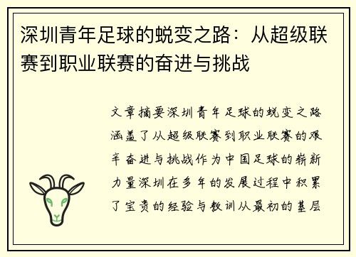 深圳青年足球的蜕变之路：从超级联赛到职业联赛的奋进与挑战